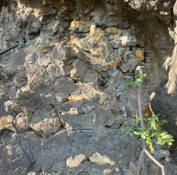 Rize’nin Tarihi ve Define Söylentileri 