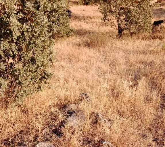 Bartın’ın Tarihi ve Define Söylentileri 