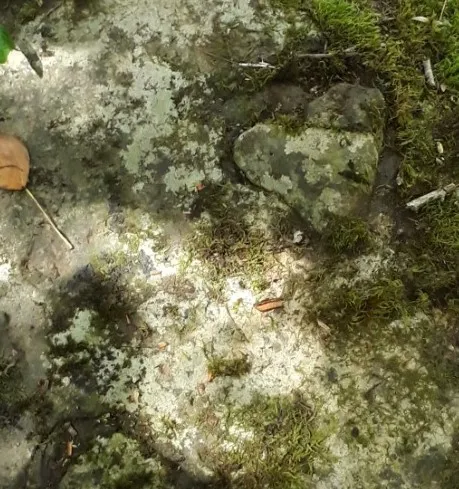 Bolu’nun Tarihi ve Define Söylentileri 