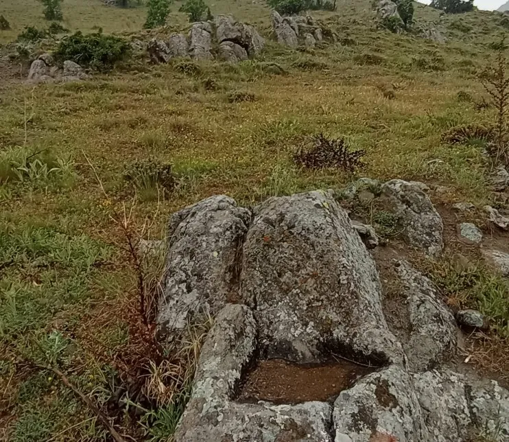 Dedektör Fiyatları Neden Bu Kadar Farklıdır? 