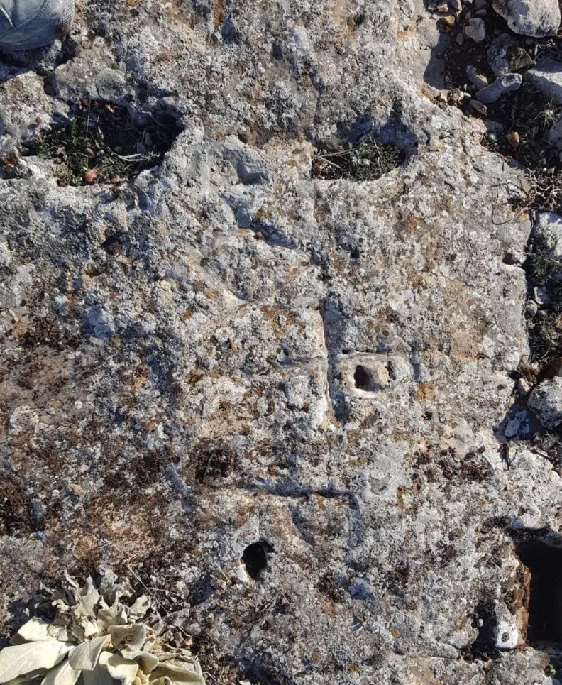 Dedektör Çeşitleri ve Kullanım Alanları